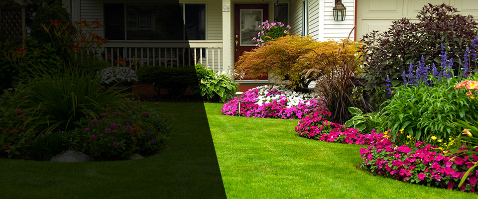 Mission Landscapers